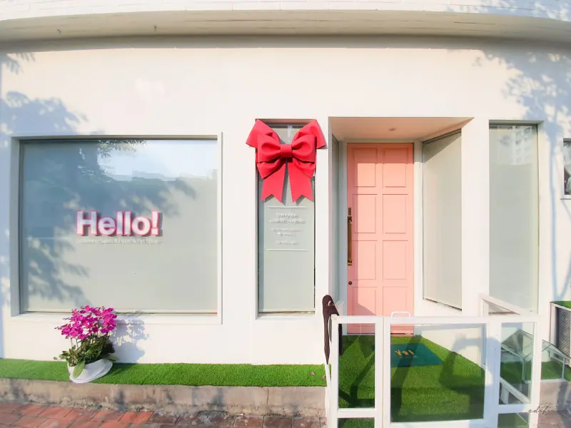 오마이도그 이미지 11